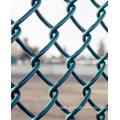 green and black coated chain link mesh
